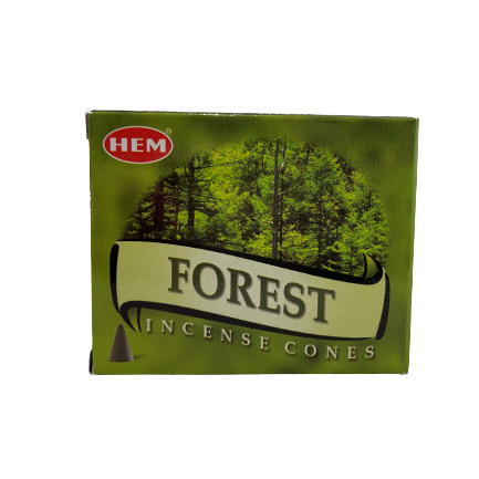 KADZIDŁA STOŻKOWE - FOREST