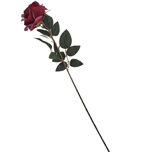 RÓŻA POJEDYNCZA 60 CM MIX KOLORÓW