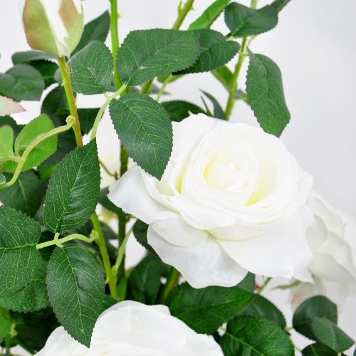 c04105bad18546fc41c05f9bad11fdc5