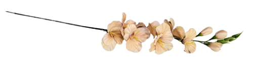 7458dc75682610f72a66b450be95553b