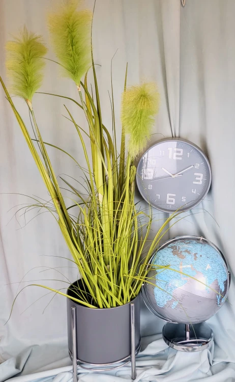 c6176234dda673fe02f759bc6ca24649