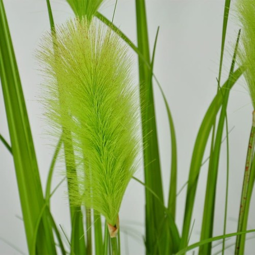 90a1c1939aea46eef7691cd961bf158c