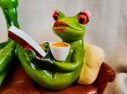 FIGURKA PANI ŻABA NA KANAPIE Z KSIĄŻKĄ I KAWĄ