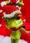 ŚWIĄTECZNA FIGURKA PANI ŻABA W CZAPCE MIKOŁAJA