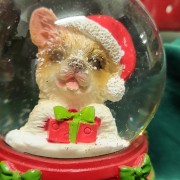 c423bfc2be50ddeacdbdbc1c15632d4f