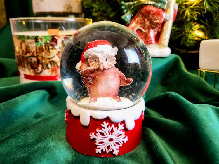 3765dadd8d11ca7e05d5e1f0b23e904c