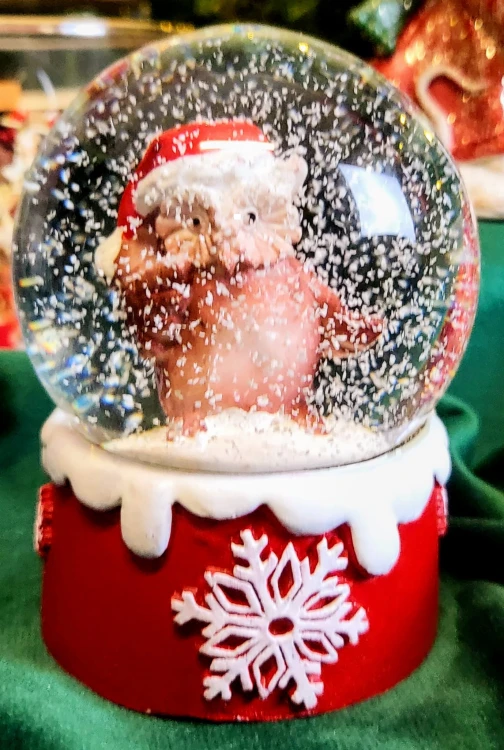 0b82f41880ef05f9cc6a581bf62b7e1a