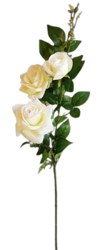 beb24c0c88de6f9f34f05981b4e04c63