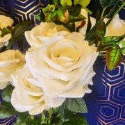 41e354c6869d311aaac1a869b7040145