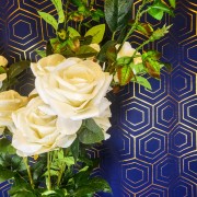 c22ac778572077e79f3f27ab76c5877a