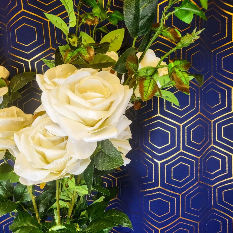 c22ac778572077e79f3f27ab76c5877a