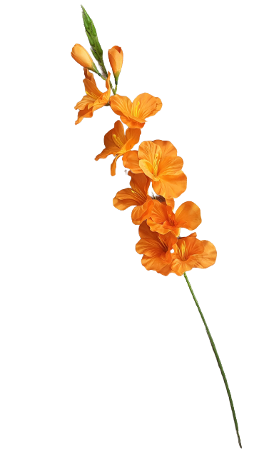 3cdd6f050a9acbefad7f6842185097e4