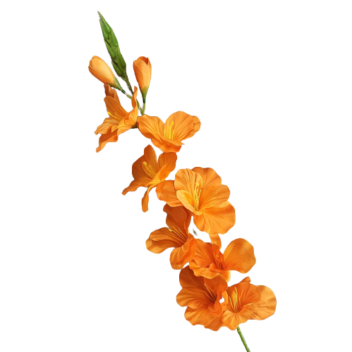 9ec8b063690c87185df883c55f217015