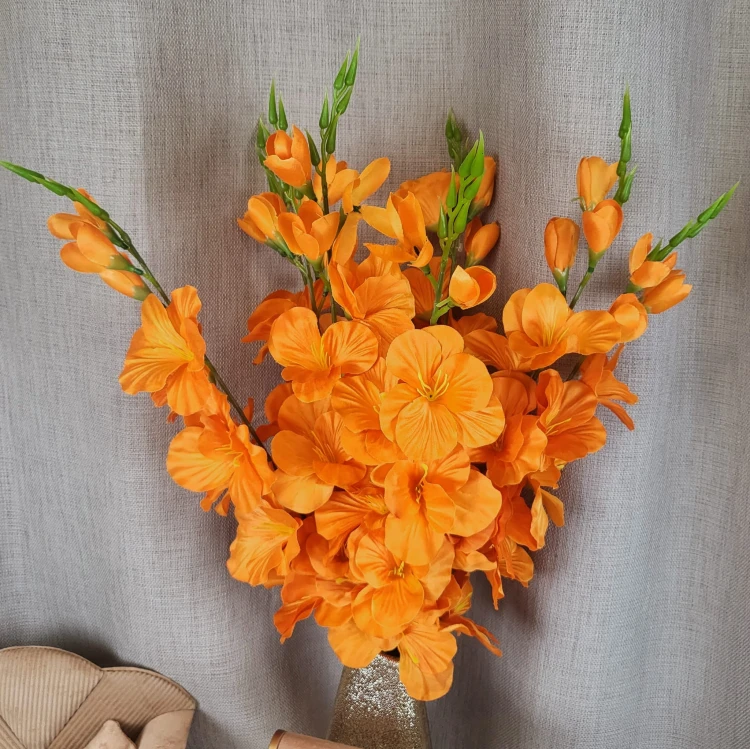 46605220b974b03eb5d4e958bf1dc6a5