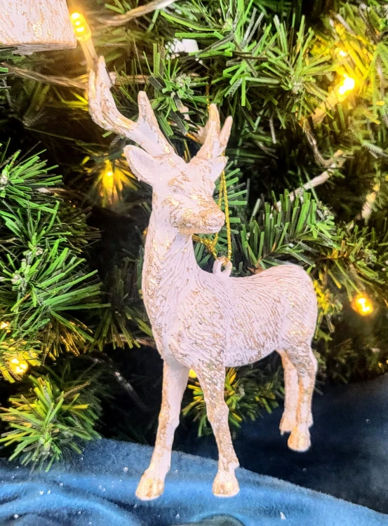 dbe5b305b549af33c60709bbe206036a