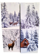 2679539212a7216efbe9059e5fad28fb