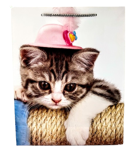 fb2890e99a9ba665a4605acf6df7d5fd