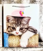 dc2d7f9ee9cb605de55de3a4dc059c34