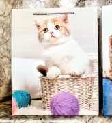 cbb27aa862adbd4c6290d14c17b1d8d9