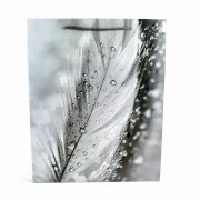 b853d4090de69028678580a05e1fa493