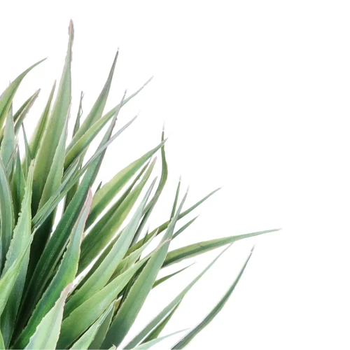 d9a88b7071c0fe18440e85616c8c64ad