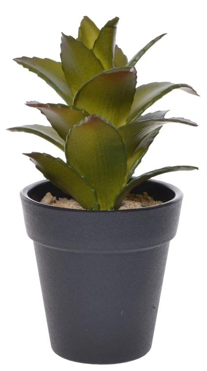 e3673ec76de147c860e336e78227c115