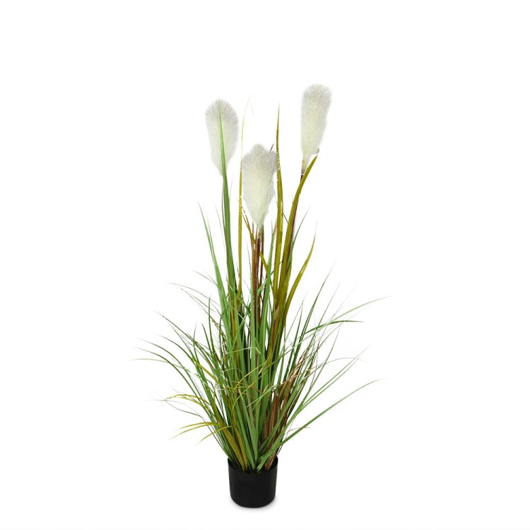 TRAWA W DONICZCE MISKANT 120CM