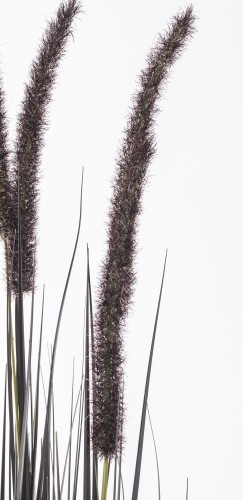 1acbec0a7808c85912122094aa2978c0