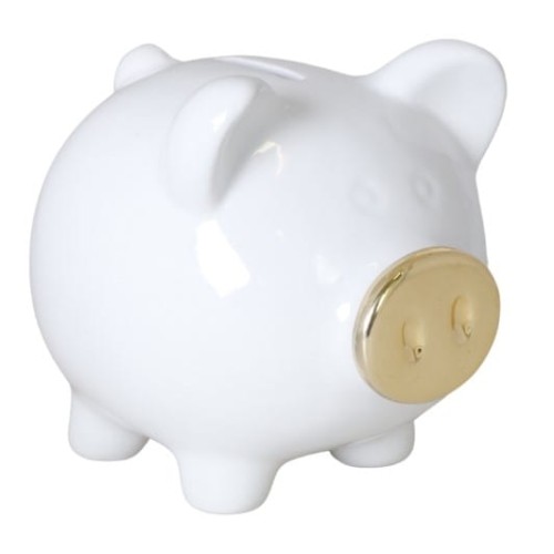 15000172895b540e8d8fc5842858458b