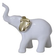 fc8a5c7acaae382ef3b8889a82e3bc59