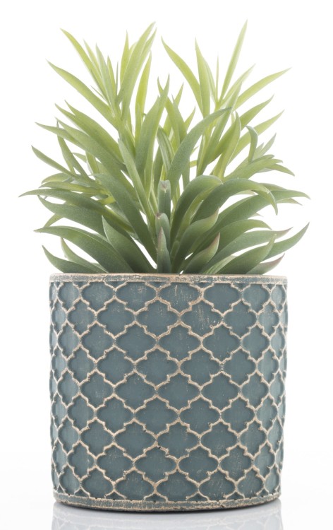 0c6fda62770ad116502a40136df0e36e