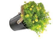 ca65b1c33a50265c77f86521d5cb28d4