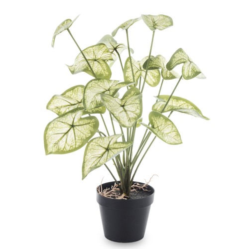 SZTUCZNA ROŚLINA DEKORACYJNA ALOKAZJA 45CM