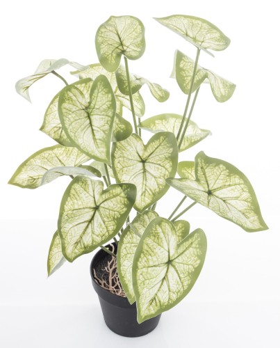 1f416d92af8756fbce914412eff69023