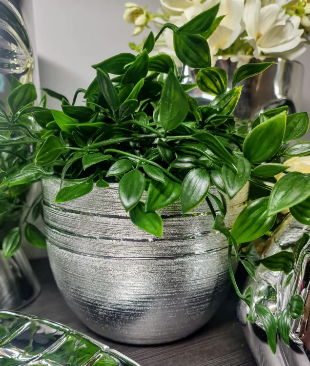 7bf4953c8888d03592a1c9d81d9e580e