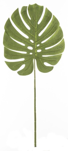 7e4485e61f605e668b82dc505b8afedd