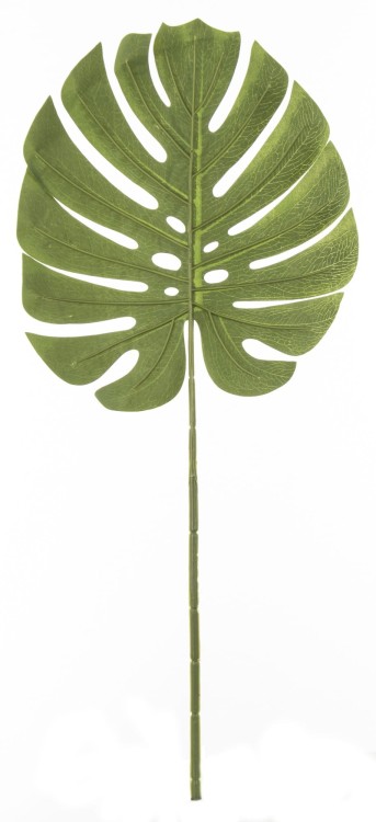 7e4485e61f605e668b82dc505b8afedd