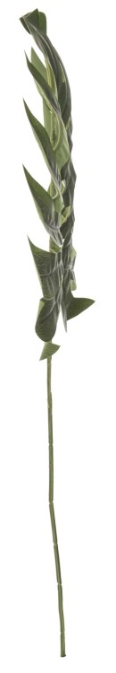 d40c6a00e00a19f0274ec1d3caa1b93d