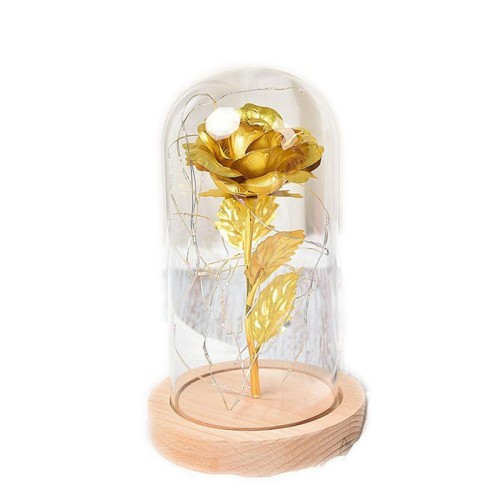 99b92f1decb6239a3a55fa42418b6501