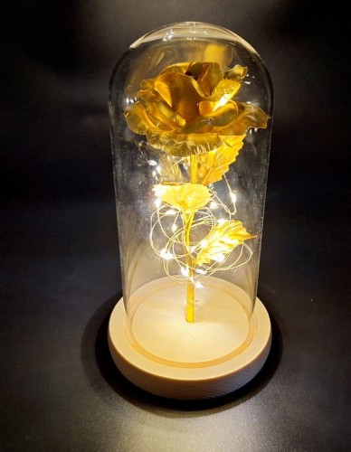 384382b7942c720b63e04d2f0e813fa5