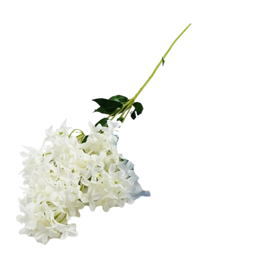 1b4b11ecb5334fda31302993246fc2e9