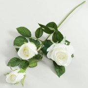 34e5acd25c97a81a9a921122370a6a8e