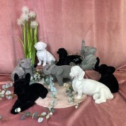 4e48fe6804a964862a244bf6cd4b7ec0