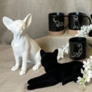 85120ed63d4ca0748ea4df20bea3b3eb