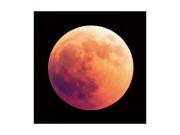 OBRAZ NA SZKLE MOON 80X80