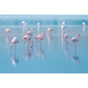 OBRAZ NA SZKLE FLAMINGOS 120X80