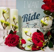 e64a16b4d34595a5b63a6ad6c11e3c8d