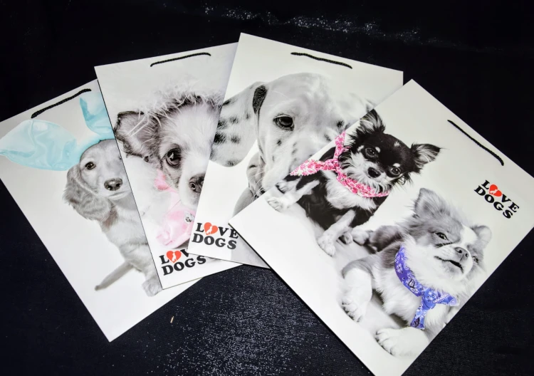TOREBKA UPOMINKOWA "I LOVE DOGS" 4 wzory ROZM. M 32X26X10cm
