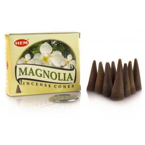 KADZIDŁA STOŻKOWE - MAGNOLIA 10 KADZIDEŁ