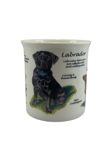 KUBEK LABRADOR 250ml w pudełku